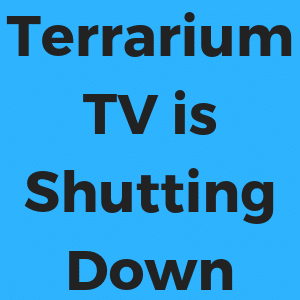 Terrarium TV shutdown