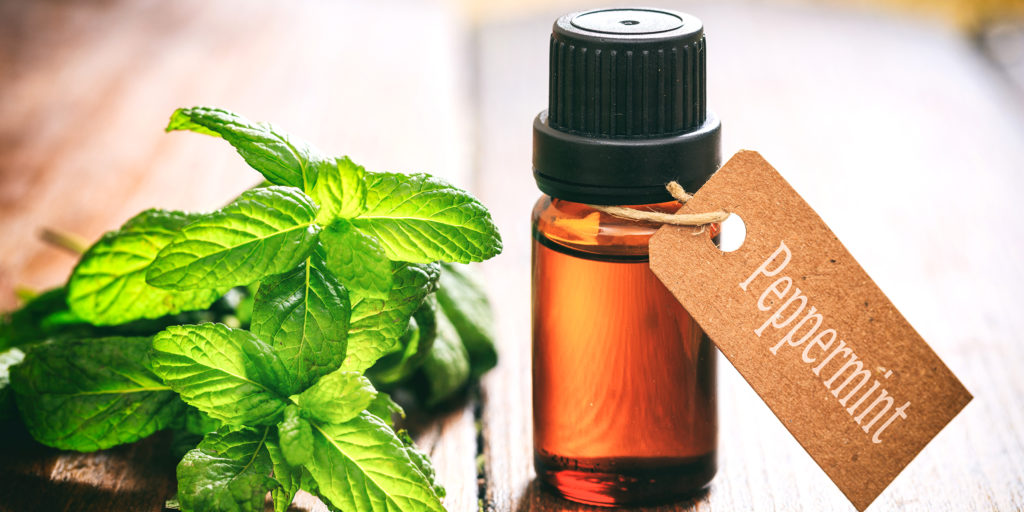 peppermint oil benefits